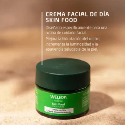 Skin Food Crema de Dia