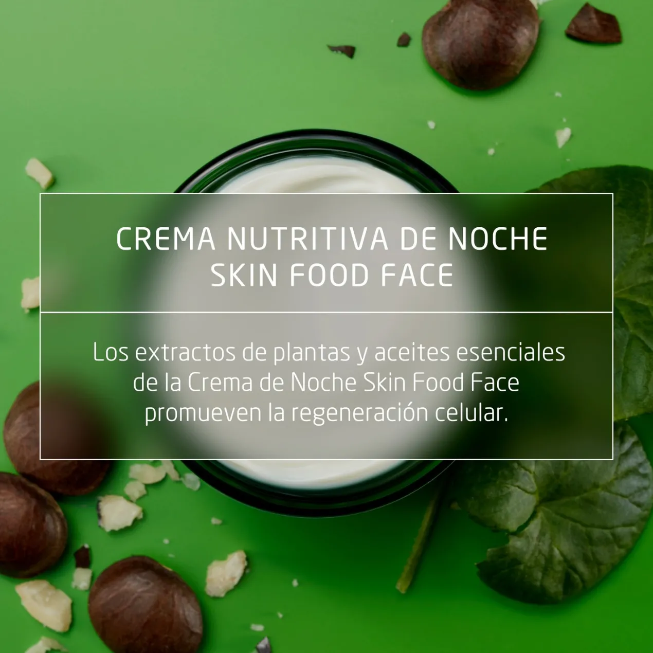 Skin Food Crema de Noche