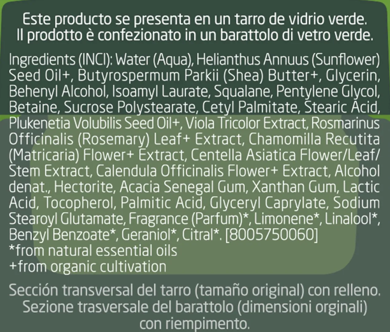 Skin Food Crema de Noche