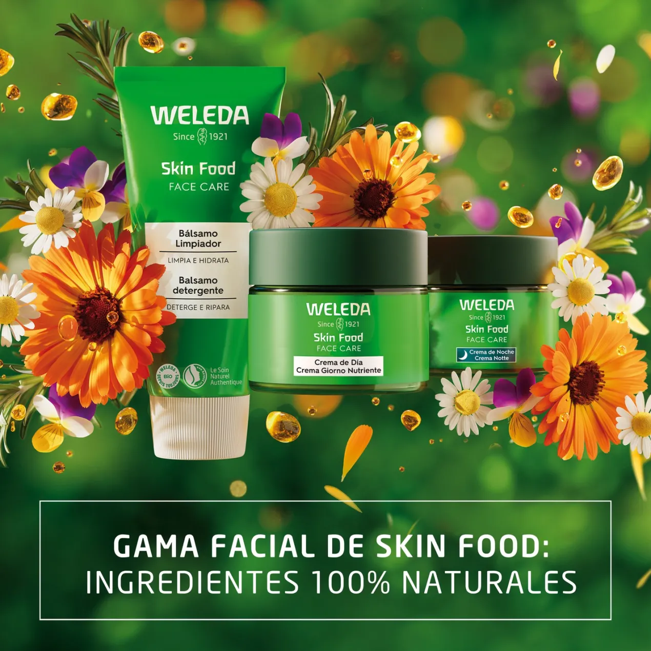 Skin Food Crema de Noche