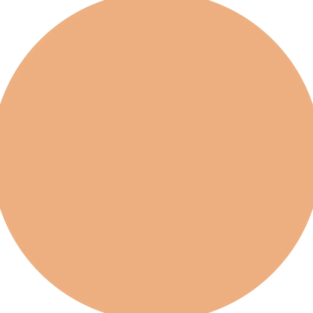 Soft Blur Polvos Matificantes