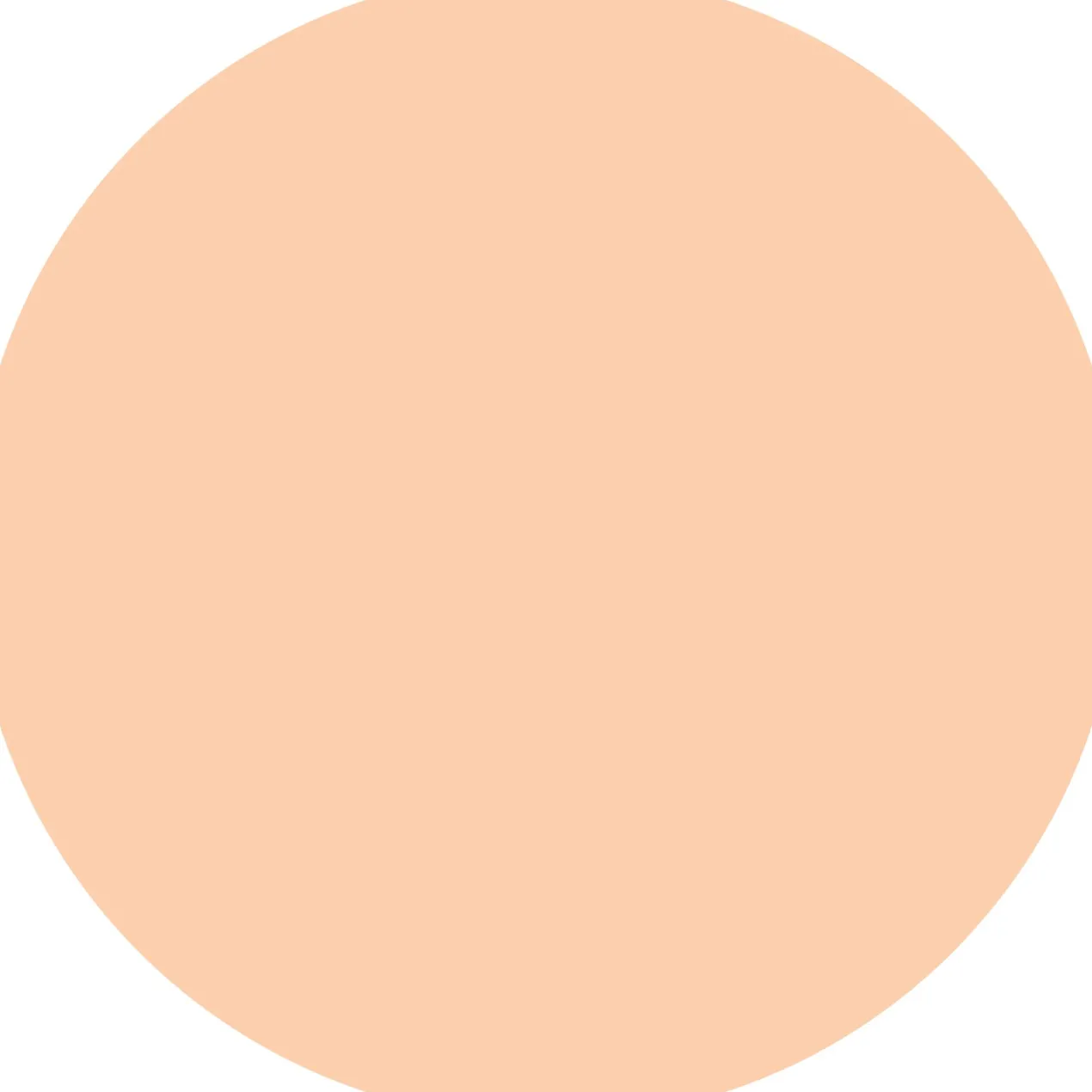 Soft Blur Polvos Matificantes