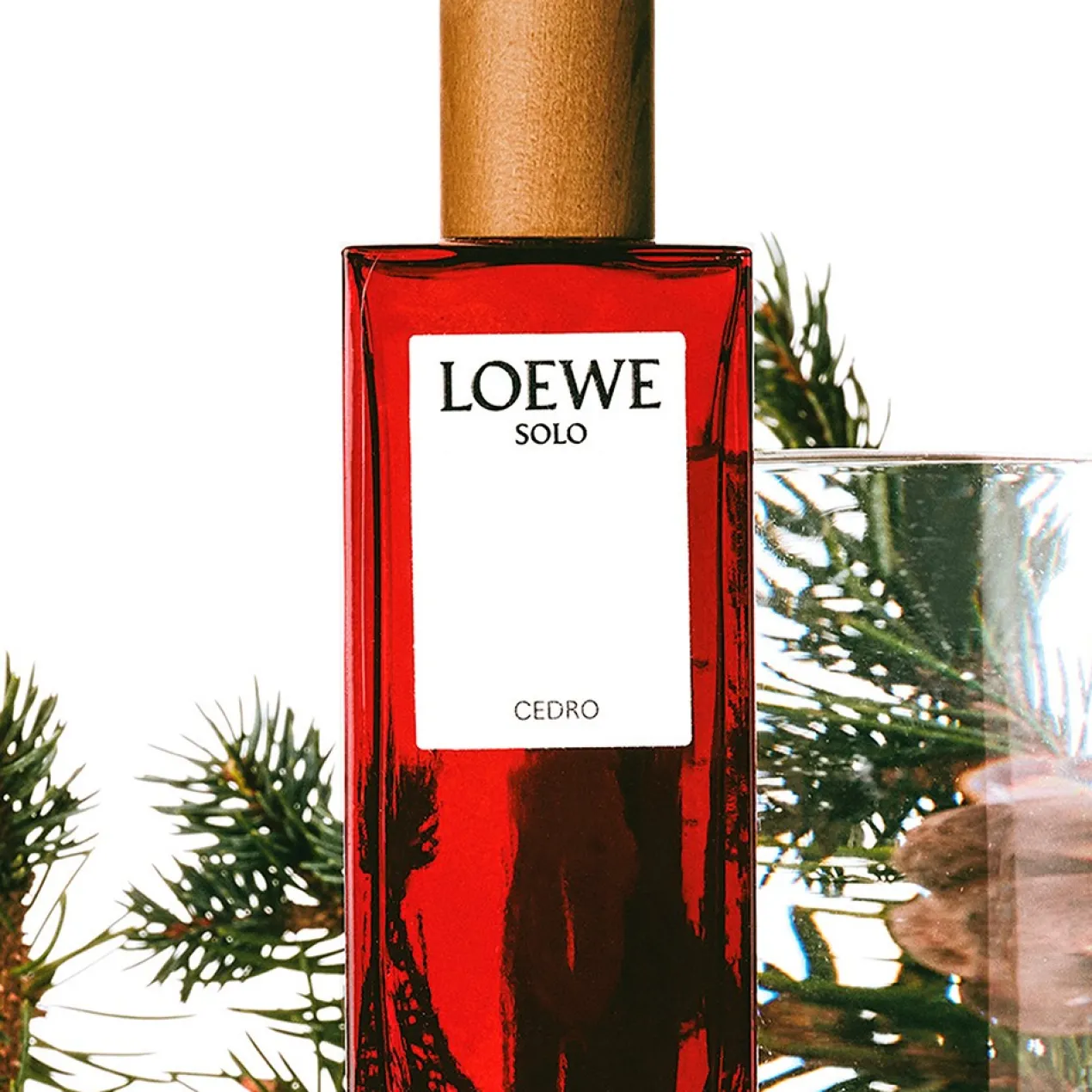 Solo Loewe Cedro EDT