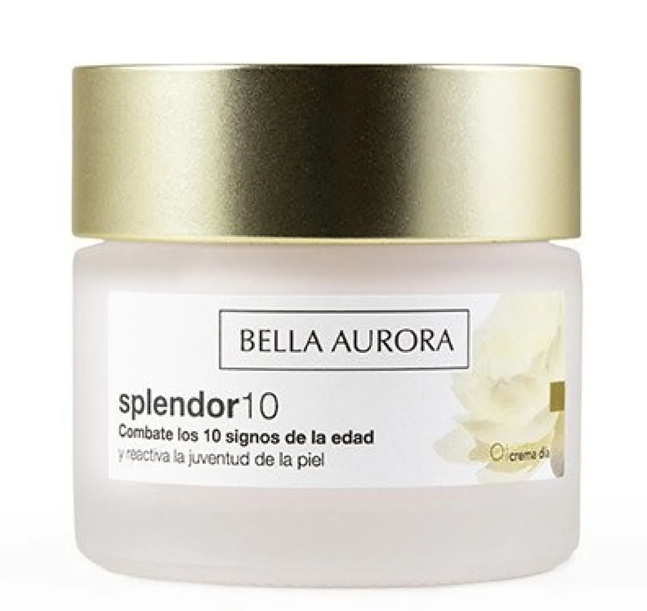 Splendor 10 Día