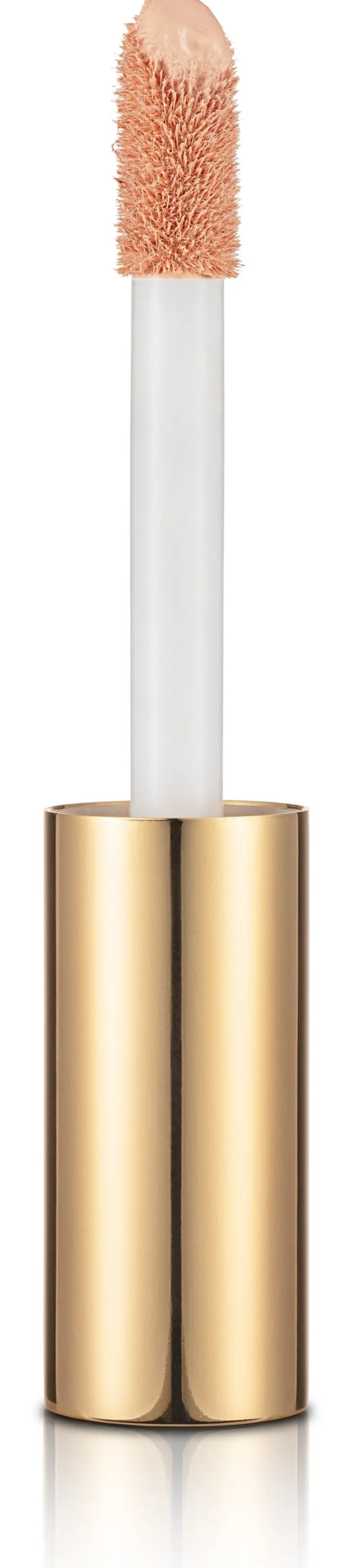 Stay Perfect Corrector