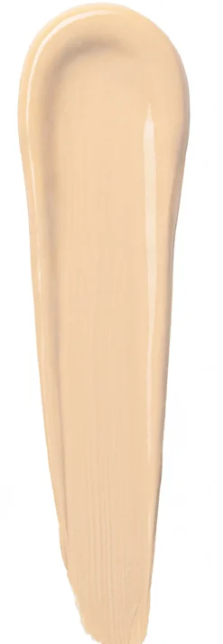 Stay Perfect Corrector