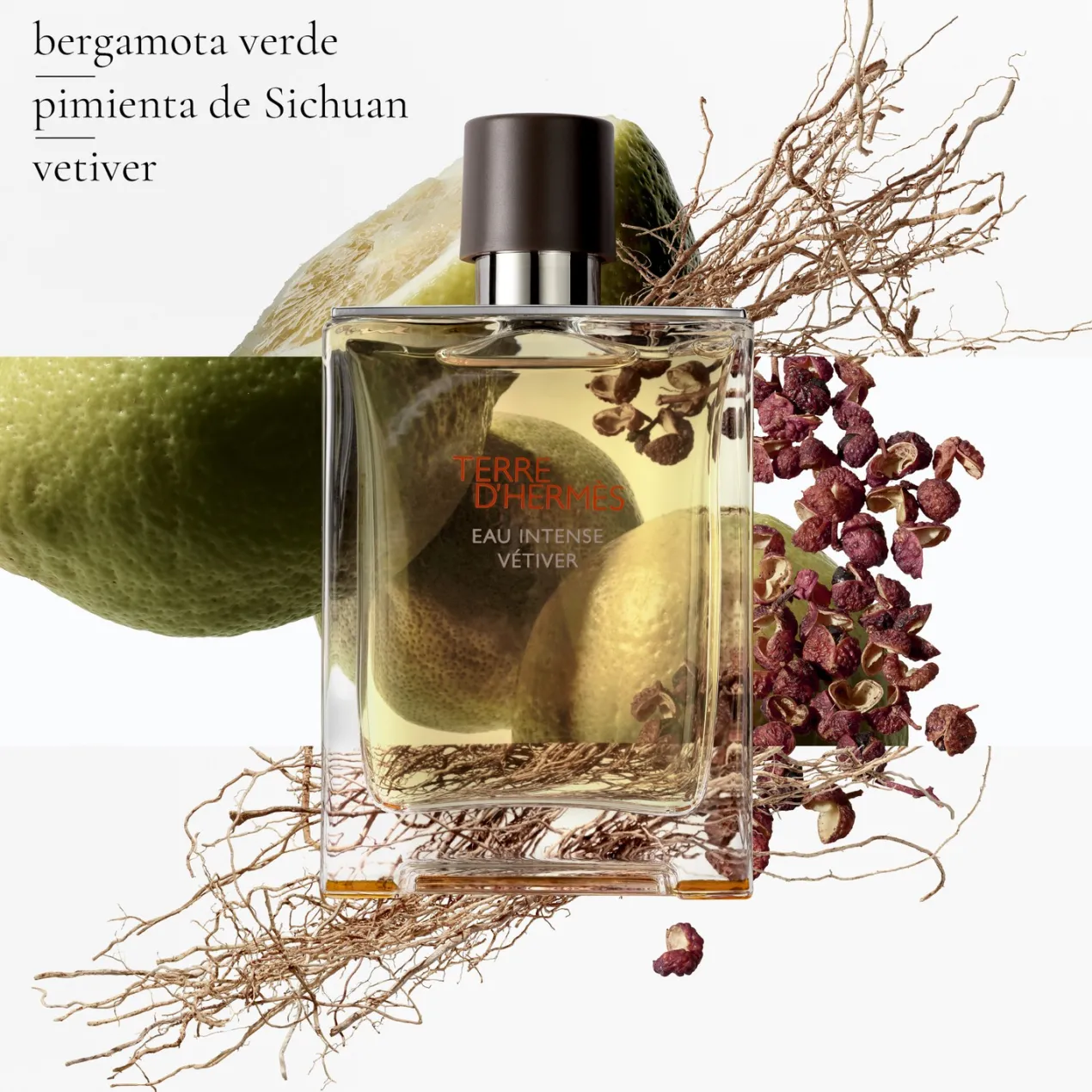 Terre d'Hermès Eau Intense Vétiver Eau de parfum