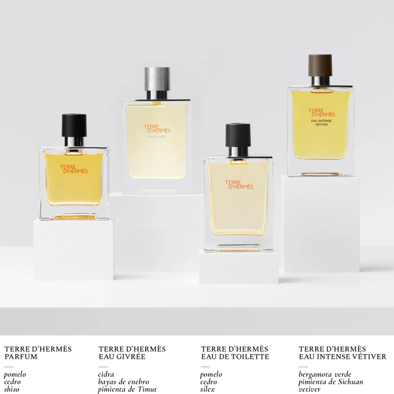 Terre d'Hermès Eau Intense Vétiver Eau de parfum