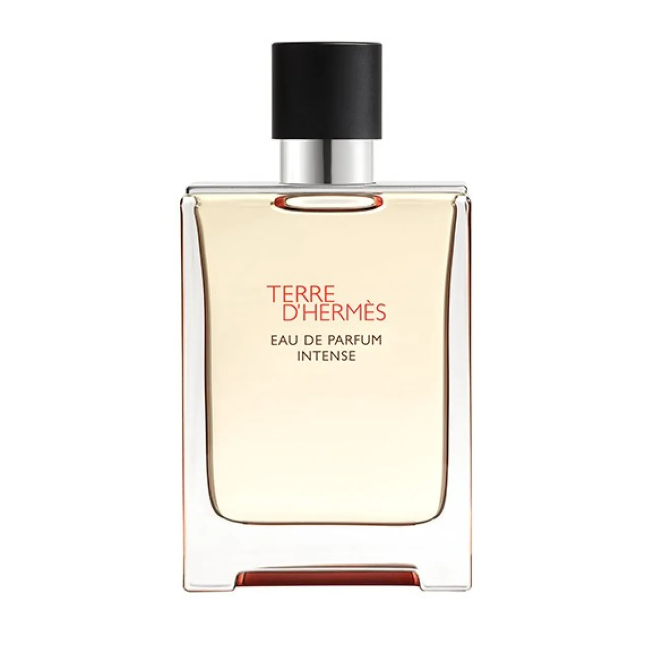 Terre D'Hermès Men Eau de Parfum Intense