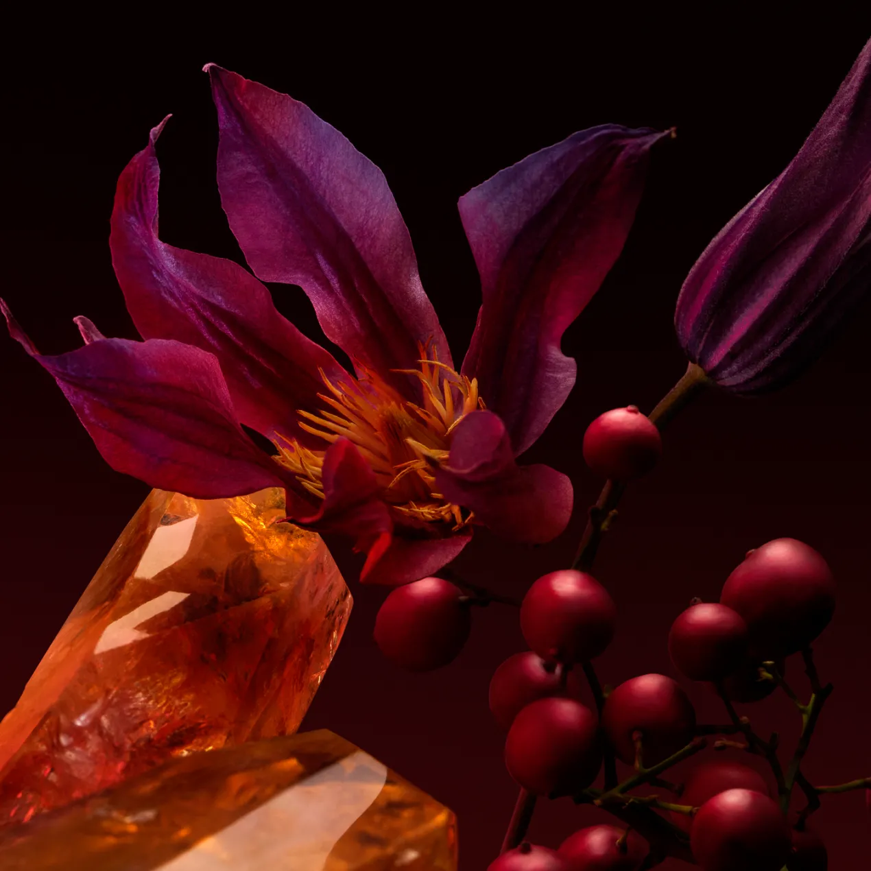 The Scent For Her Elixir Parfum