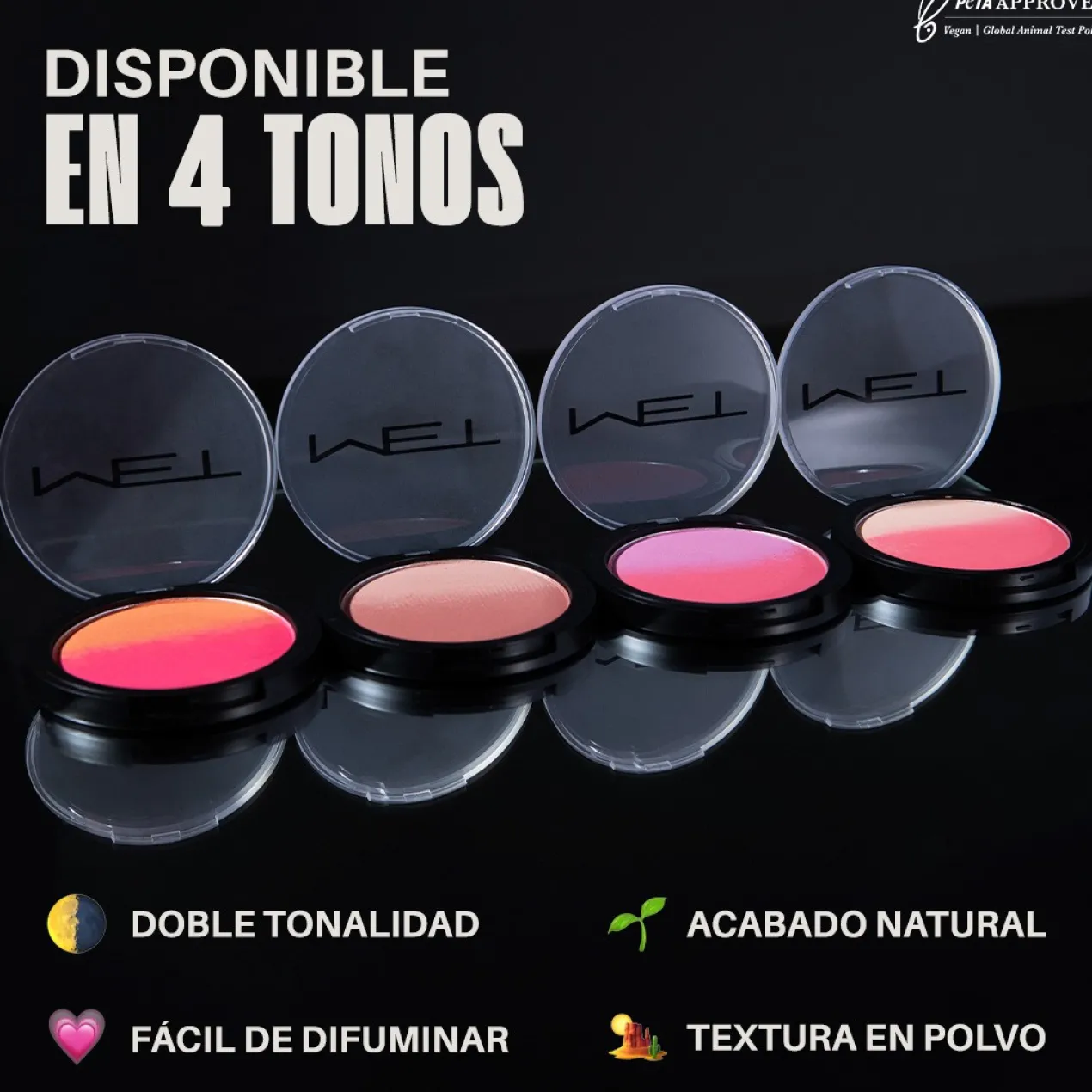The Game Changer Ombré Blush Colorete