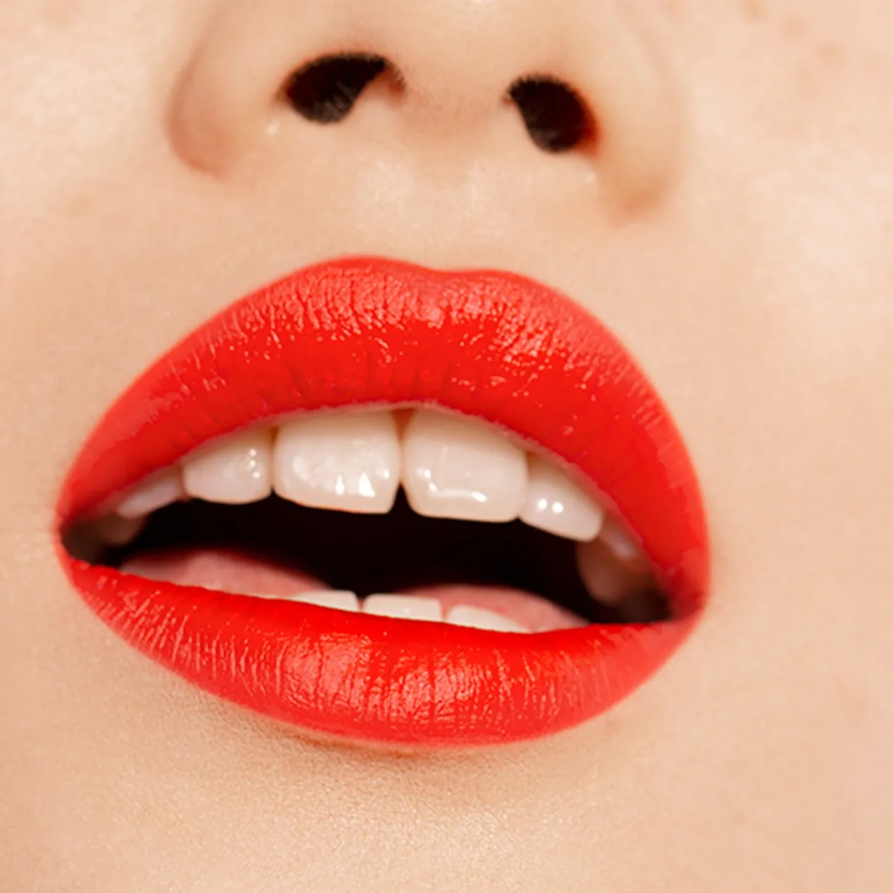 The Lipstick Barra de Labios