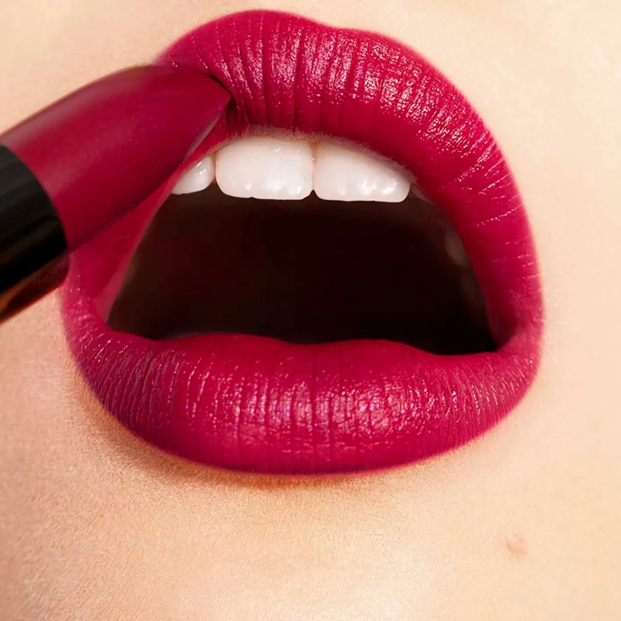 The Lipstick Barra de Labios