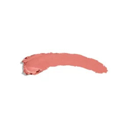 The Lipstick Barra de Labios
