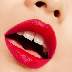 The Lipstick Barra de Labios