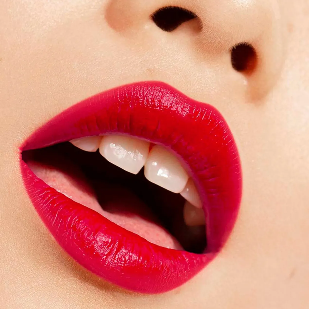 The Lipstick Barra de Labios