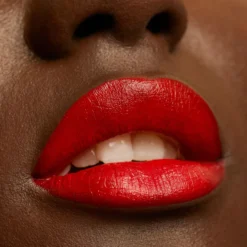 The Lipstick Barra de Labios