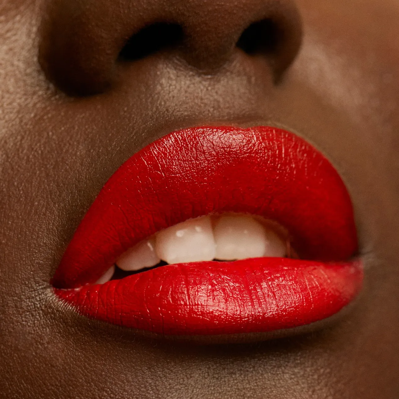 The Lipstick Barra de Labios