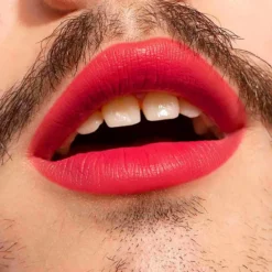 The Lipstick Barra de Labios