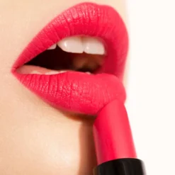 The Lipstick Barra de Labios