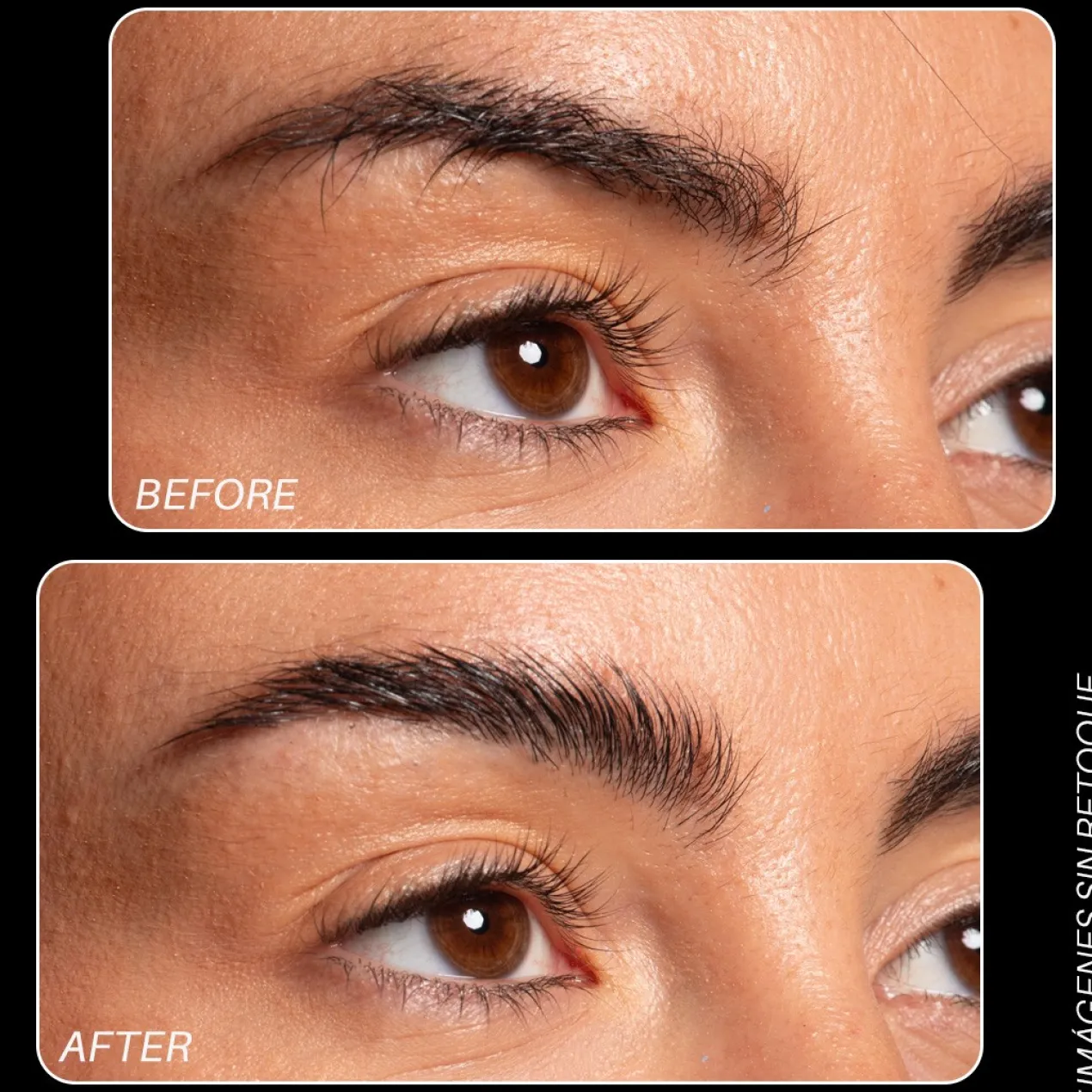 The Wax For My Brow Fijador de Cejas