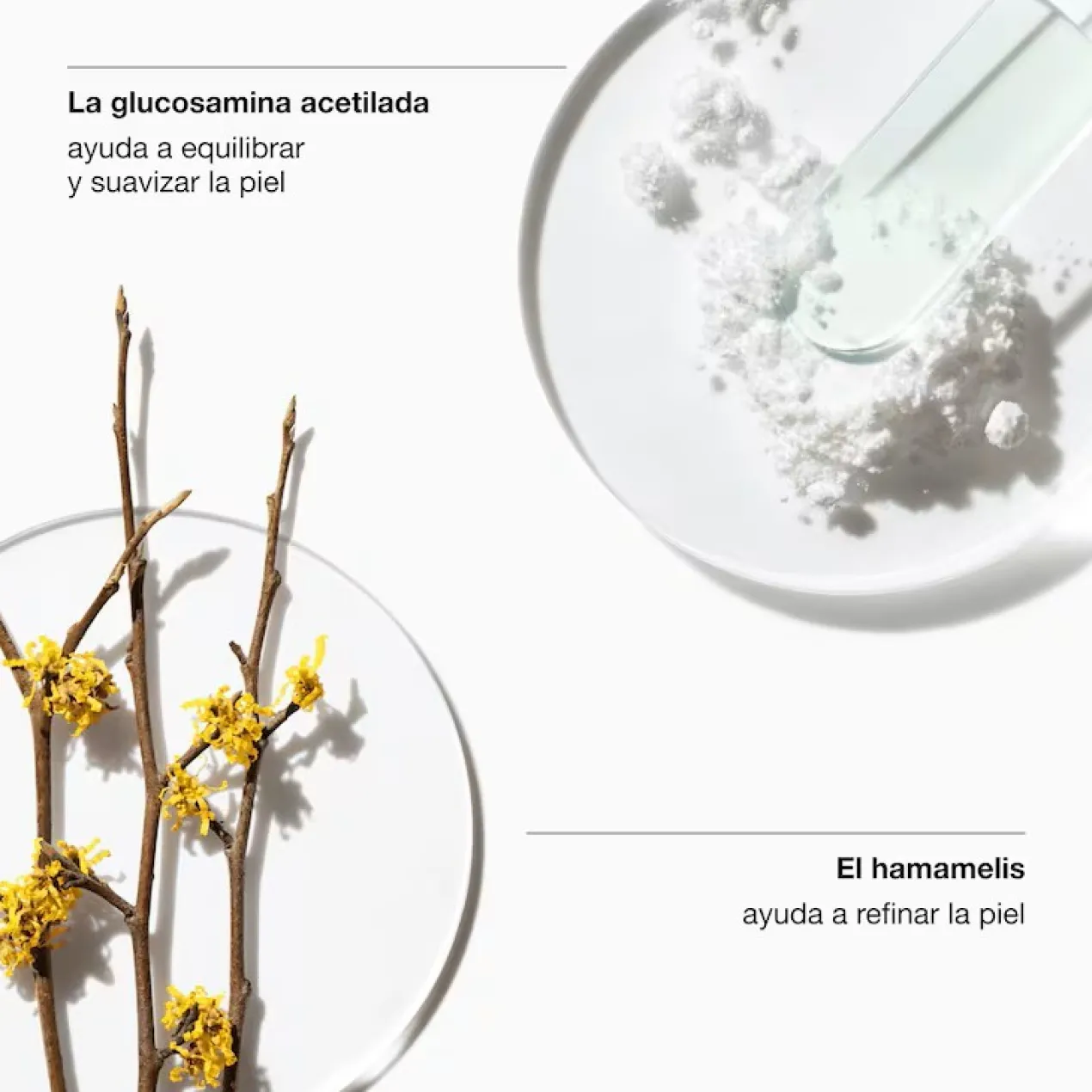 Tónico Loción Clarificante 2 Piel Mixta
