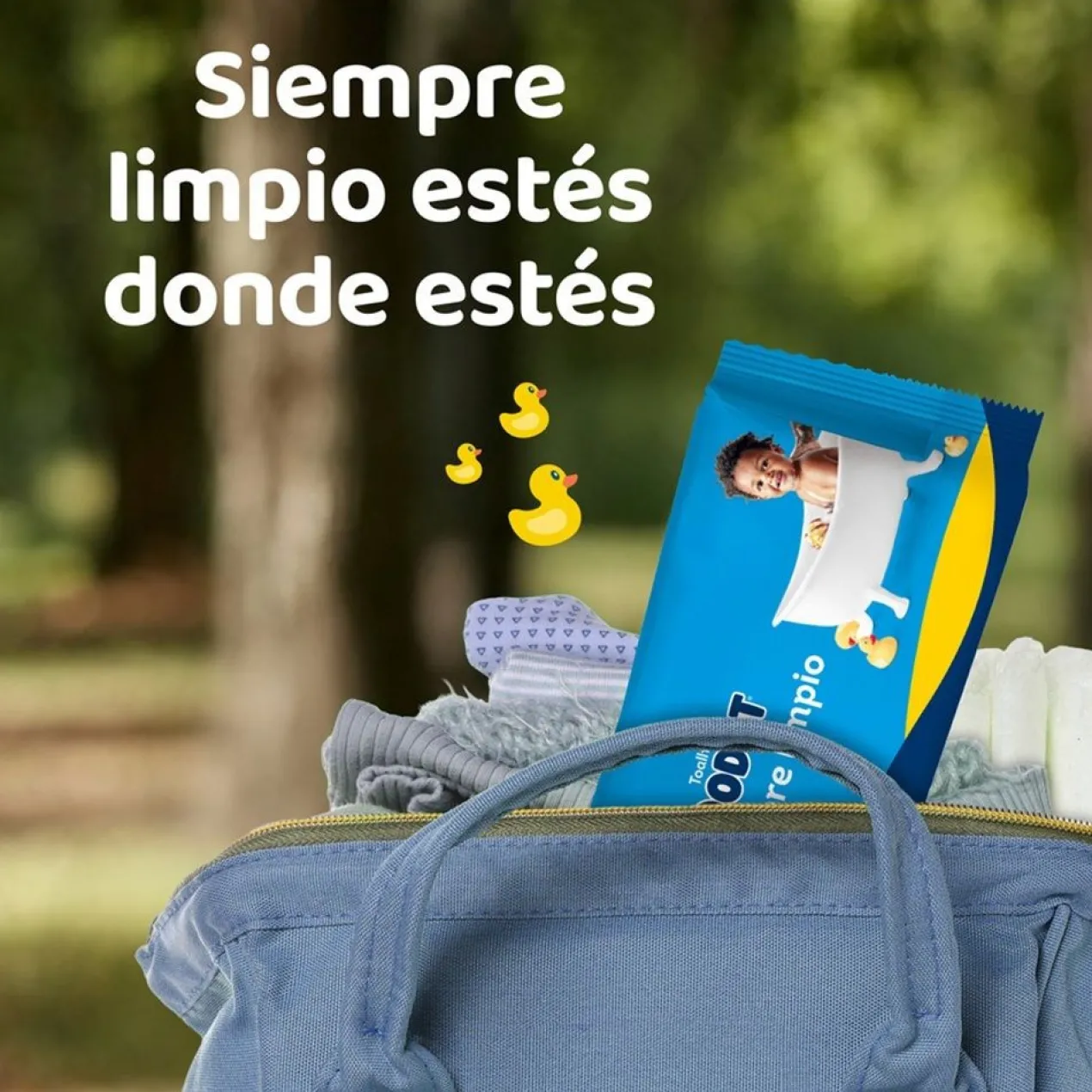 Toallitas Clásicas Pack