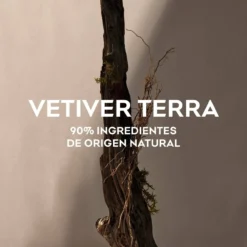 Vetiver Terra EDP