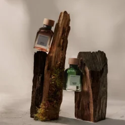 Vetiver Terra EDP