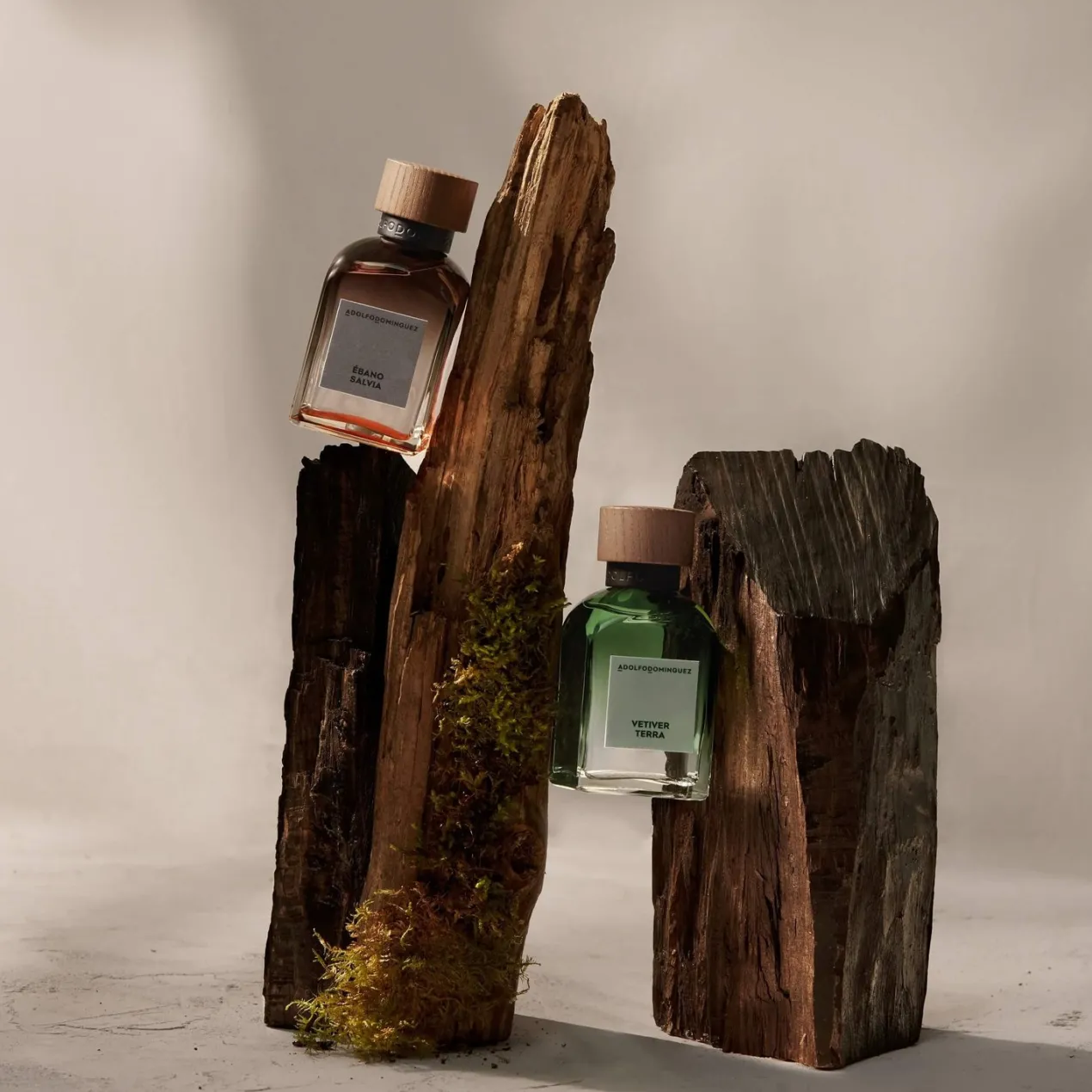 Vetiver Terra EDP