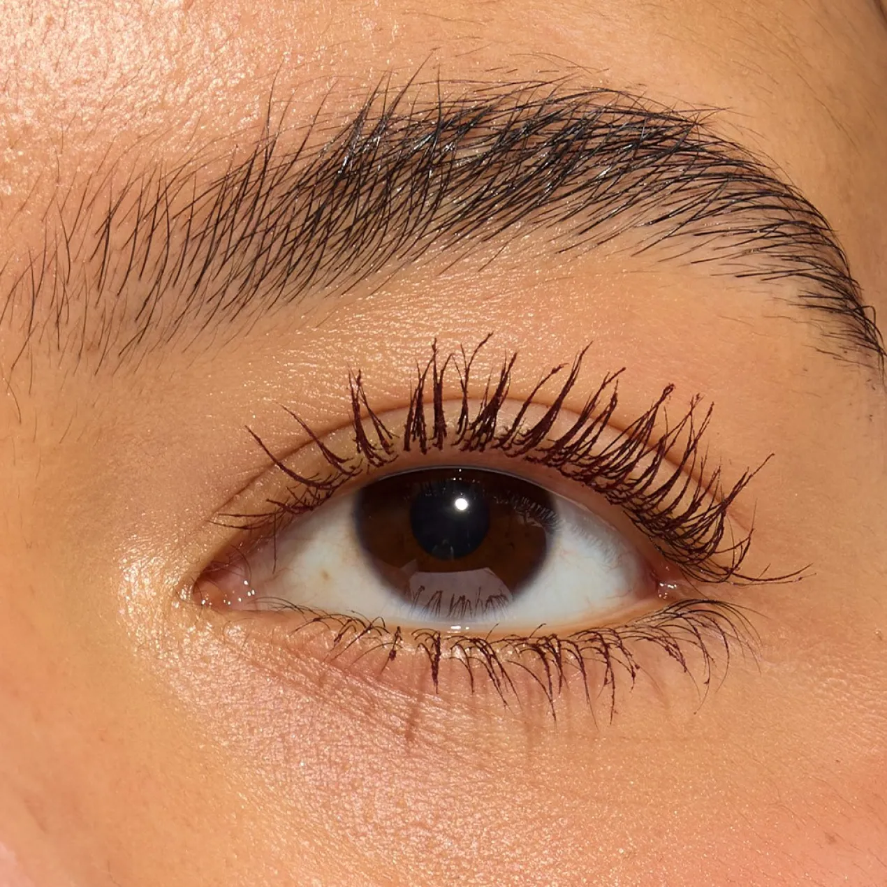 Wrap Lash Máscara de Pestañas