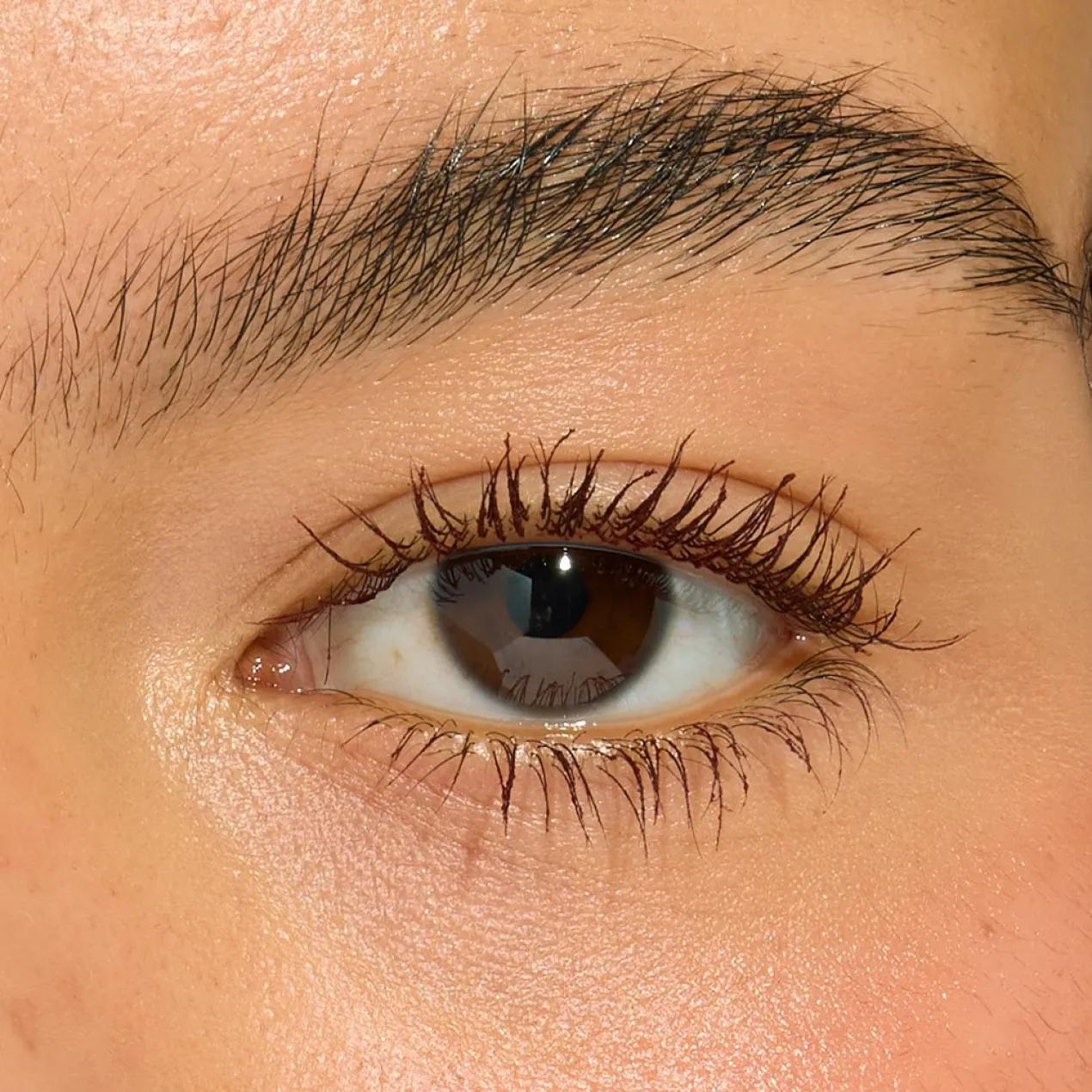 Wrap Lash Máscara de Pestañas