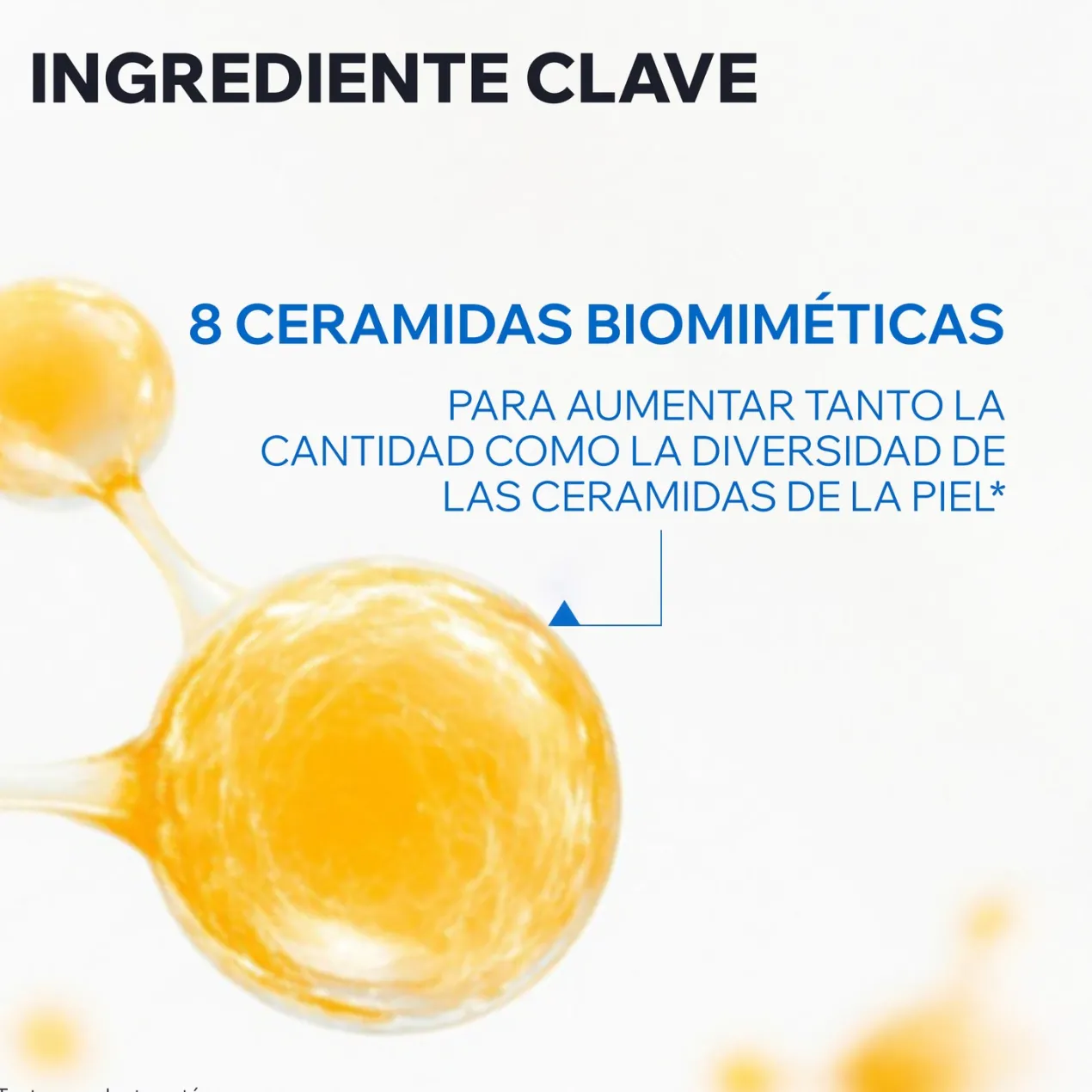 Xemose C8+ Cerato Relipidizante Anti-picor