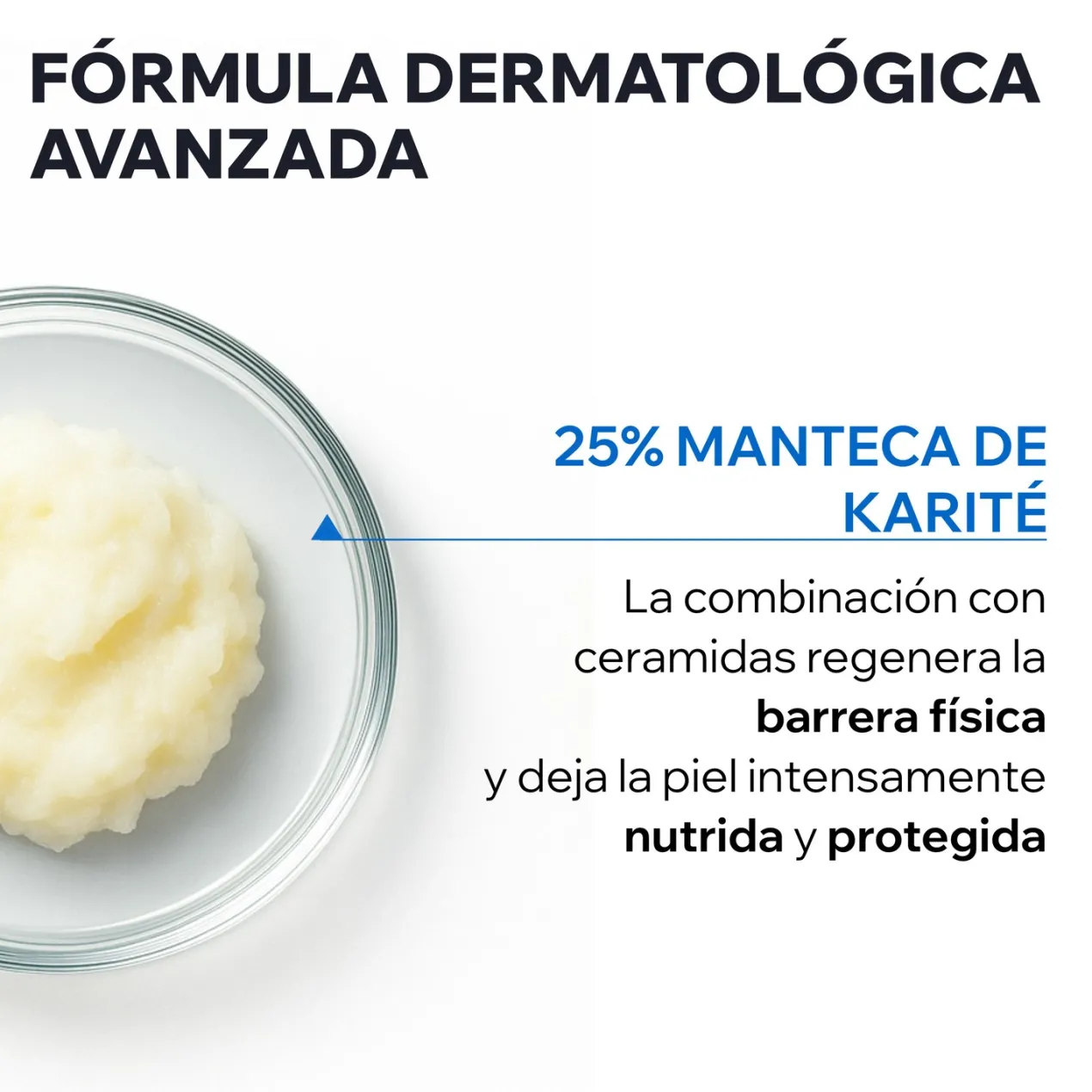 Xemose C8+ Cerato Relipidizante Anti-picor